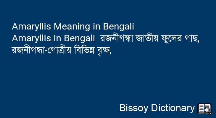 Amaryllis in Bengali