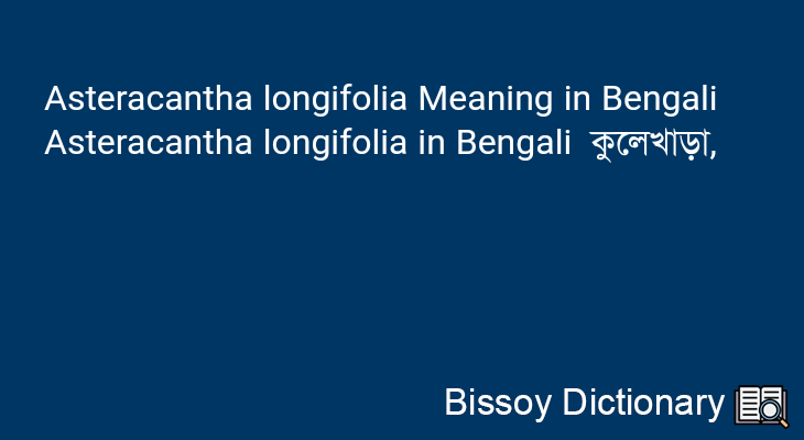 Asteracantha longifolia in Bengali