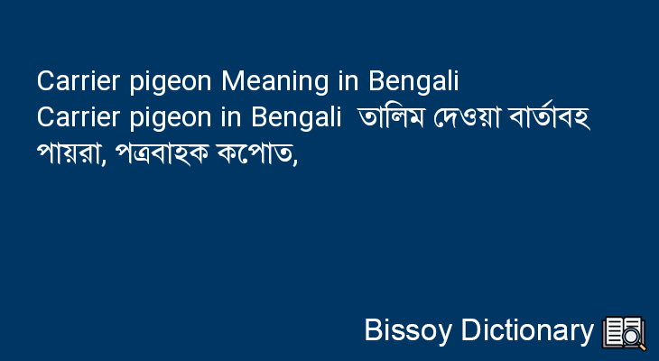 Carrier pigeon in Bengali