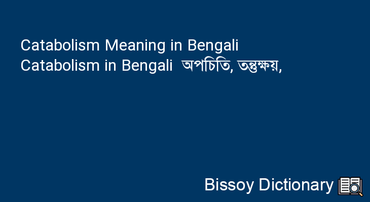 Catabolism in Bengali