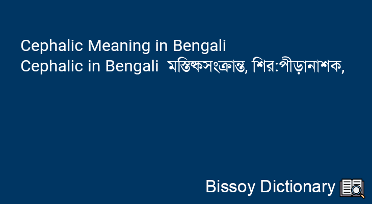 Cephalic in Bengali