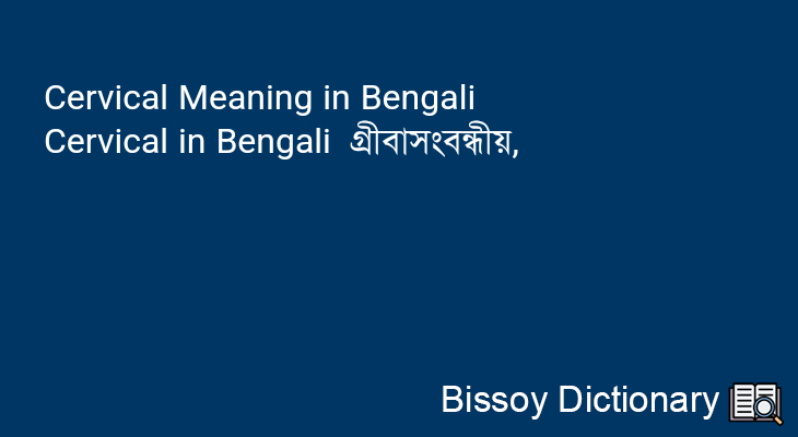 Cervical in Bengali