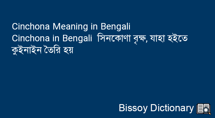 Cinchona in Bengali