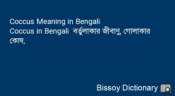 Coccus in Bengali