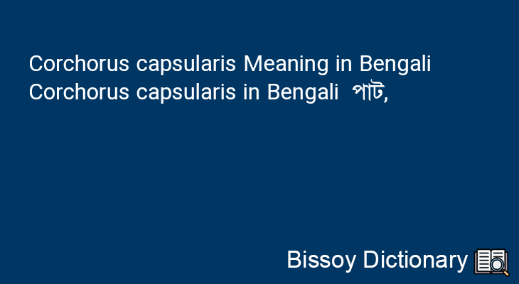 Corchorus capsularis in Bengali