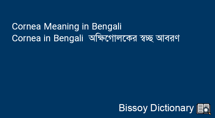 Cornea in Bengali