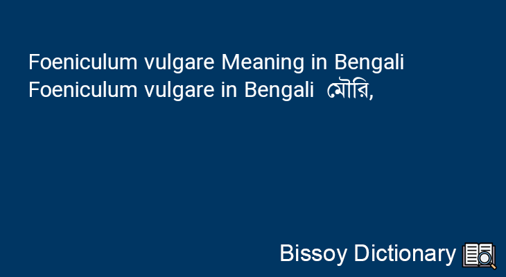 Foeniculum vulgare in Bengali