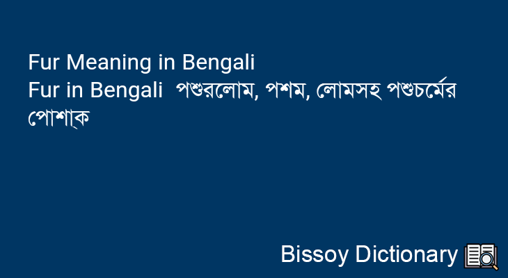 Fur in Bengali