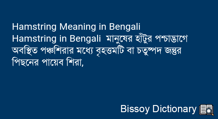 Hamstring in Bengali