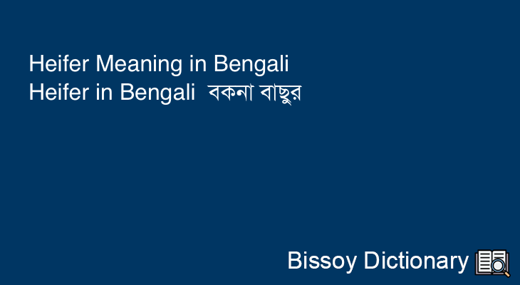 Heifer in Bengali