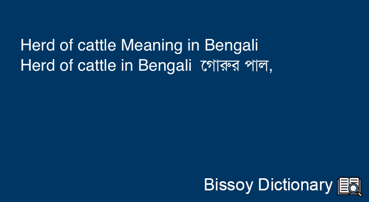 Herd of cattle in Bengali