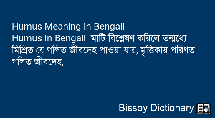 Humus in Bengali