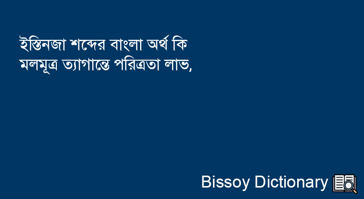 ইস্তিনজা এর বাংলা অর্থ