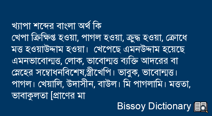 খ্যাপা এর বাংলা অর্থ