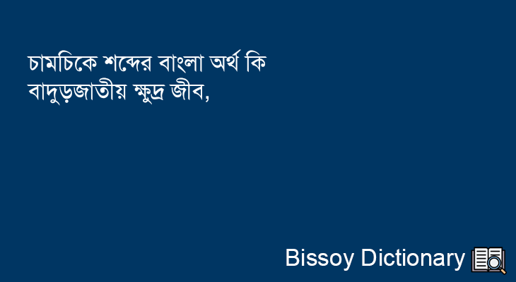 চামচিকে এর বাংলা অর্থ