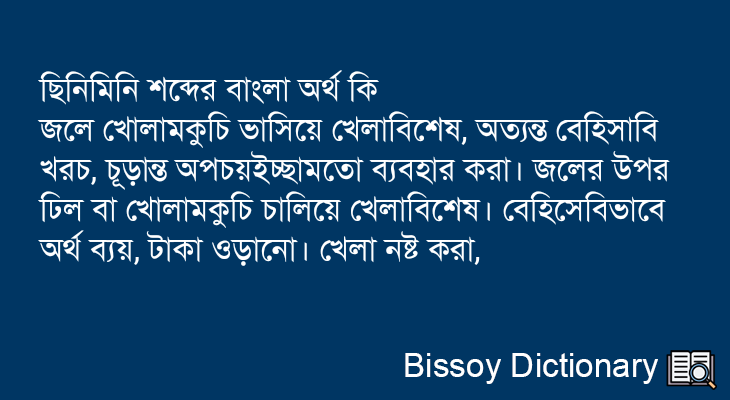 ছিনিমিনি এর বাংলা অর্থ