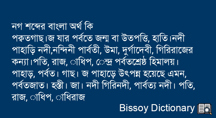 নগ এর বাংলা অর্থ