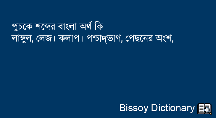 পুচকে এর বাংলা অর্থ