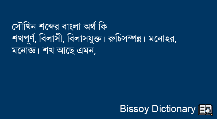 সৌখিন এর বাংলা অর্থ