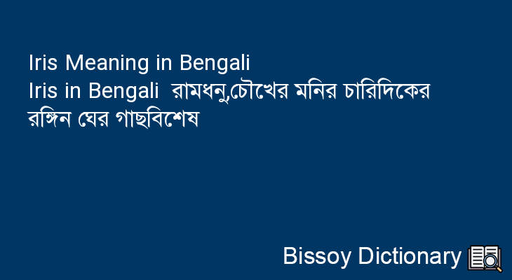 Iris in Bengali